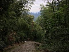 -仙霞关景区