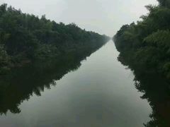 -黄海国家森林公园