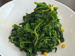 巧拌桑叶苗-邢家锅贴老店·非遗·开封菜(金明广场店)