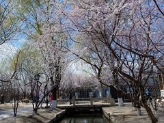-春风习习