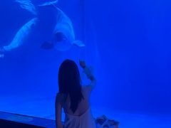 -多彩贵州城极地海洋世界