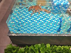 -映像威海·海鲜味道(市区店)
