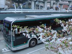 -上海南浦大桥长途旅游客运站