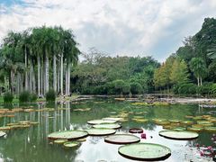 -中国科学院西双版纳热带植物园