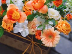 -花生FM_FLOWERS