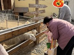 -HERRE·FARM 赫尔露营农场·团建聚会包场