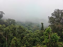 -野象谷景区