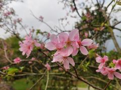 -广州市帽峰山景区