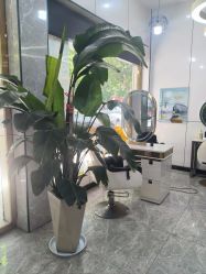 -线索名剪接发造型