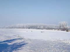 -伊犁河风景区