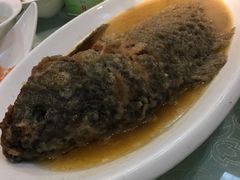-府苑美食(政七街店)