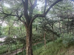 -元大都城垣遗址公园