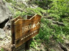 -三块石国家森林公园