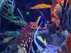 -沈阳海洋探索中心