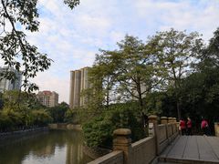 -晓港公园