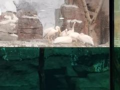 -杭州长乔极地海洋公园