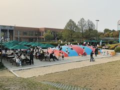 -季高兔窝窝亲子园(上海薰衣草公园店)