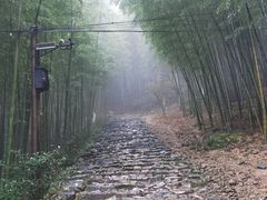 -仙霞关景区
