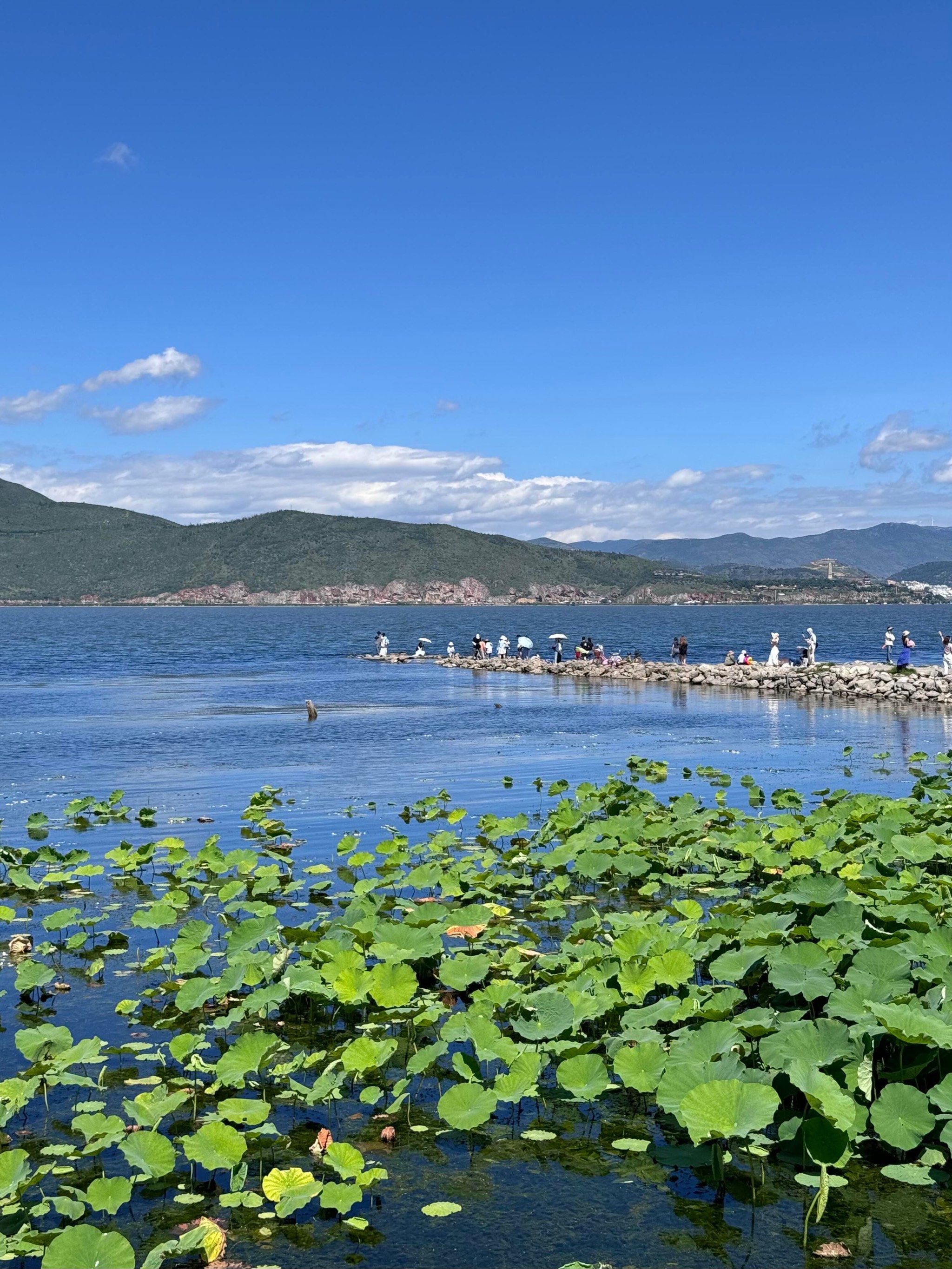 晴天的洱海真的美到next level