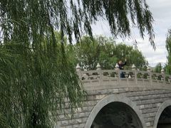 -南汇桃花村