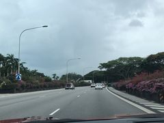 -新加坡乌节希尔顿酒店 (SG Clean)