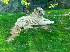 -北京野生动物园