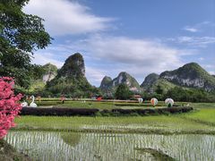 -靖西鹅泉风景区