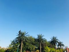 -济南方特东方神画