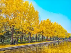 -玲珑塔公园