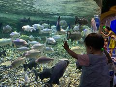 -成都浩海立方海洋公园