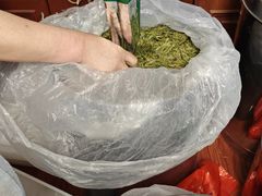 -十八棵（老龙井）御茶园(老龙井店)