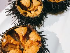 海胆-宾朋海鲜饭庄(兴海路店)