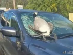 -Oasis Beauty水磨坊科技美肤中心