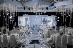-保定金沙芝柏婚礼策划