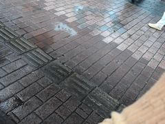 -熊记虾王·小龙虾(东晓南店)