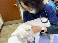 -美联众合动物医院·24h转诊中心