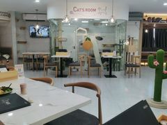 -喵园·猫主题咖啡厅·撸猫·猫咖(国贸店)