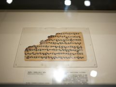 -北京大学赛克勒考古与艺术博物馆