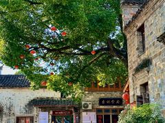 -又见炊烟私房菜(敬亭路店)