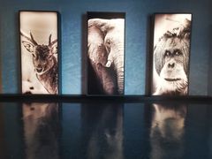 -中国湿地博物馆