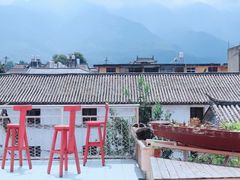 -喵屿·大理花园猫咖