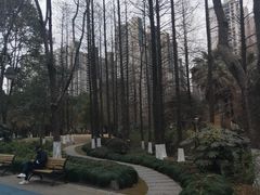 -苏州河梦清园环保主题公园