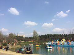 -秀丽东方