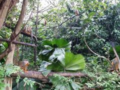 android_upload_pic-河川生态园