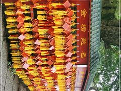 -庐山风景区花径公园