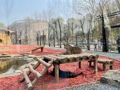 -北京野生动物园