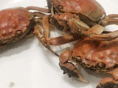-集品鲜湾·蒸汽海鲜自助料理(青岛银座和谐广场店)