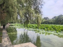 -北陵公园
