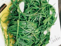 -靖远尕六美味羊羔肉