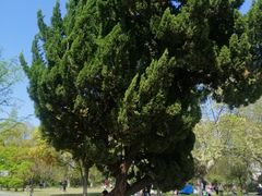 -南通博物苑-崇川人民公园